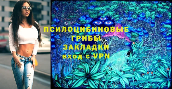 стафф Горнозаводск