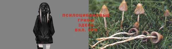 jwh Ростов