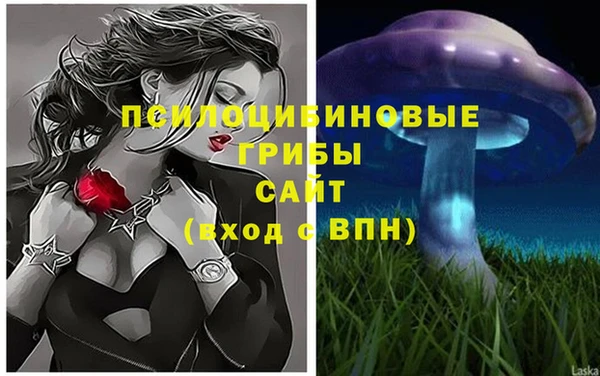 прущая мука Гусь-Хрустальный