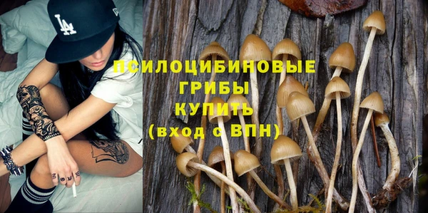 молекула духа Михайлов