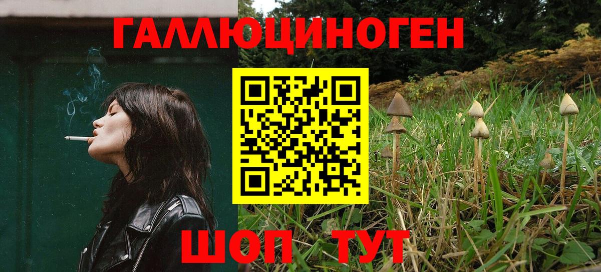 Галлюциногенные грибы мицелий Дальнереченск
