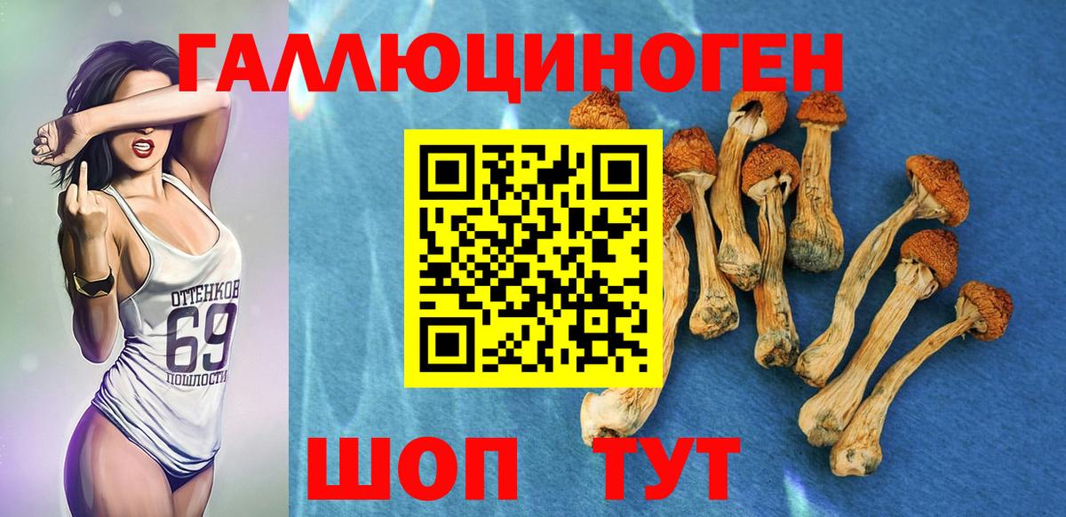 Галлюциногенные грибы MAGIC MUSHROOMS  Вход с VPN  Дальнереченск 
